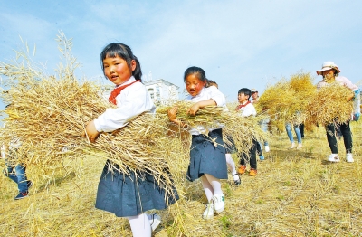 ����һС�W�Ђ��rȤ�@ �����������@���N�����ի@