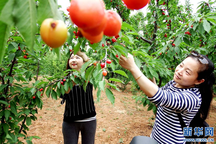 �����°����򽛝�������Үa�I