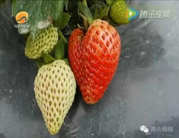 ��ݮ��ժ�@��؈ā������͵͵��ˎ �����u�o�ο�(�D)2