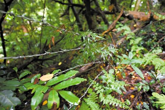 ���ų������܇����F�z�W���o����߀����͵�I�߷�Խ�o���ƉĘ���