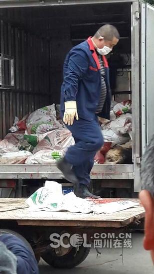 眉山市東坡區修文鎮發生狂犬疫情。