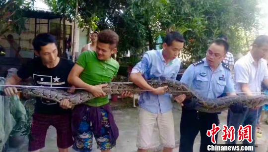 ����4���L�������P�B18��K�@���