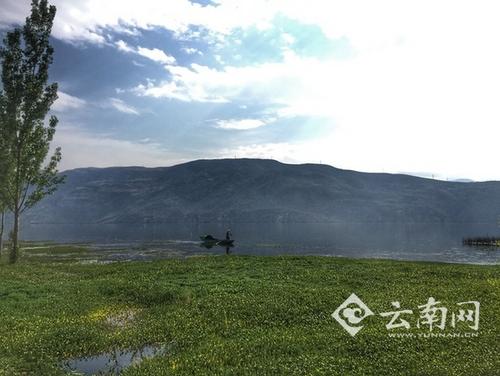 ��������`����156���P(gu��n)ͣ��͗�515��