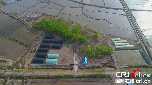 �DƬĬ�J���}