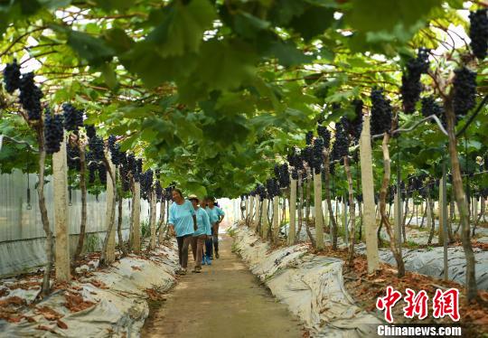 �ؑc���������l(xi��ng)���r�îa�I(y��)�r���Բ�ģʽ���������w��r�I(y��)