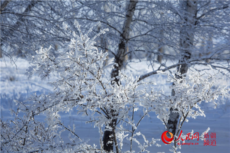 �����r�����K��ԭӭ���Fڡ���^���D����2��